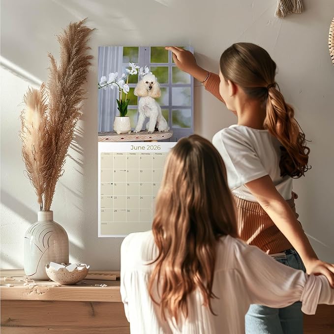 Poodle Calendar 2026 – 16-Month Dog Breed Wall Calendar by MegaCalendars – Large Daily Blocks, Thick No-Bleed Paper, Made in USA