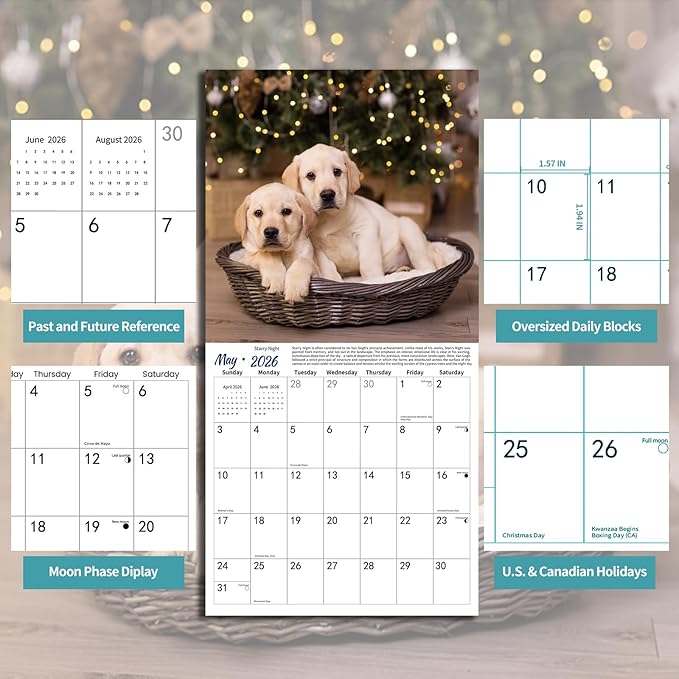 Lab Puppies 2026 Wall Calendar | 12" x 24" Open Hangable Monthly | Thick & Sturdy Paper | Cute Labrador Dog | Family Planner Calendar