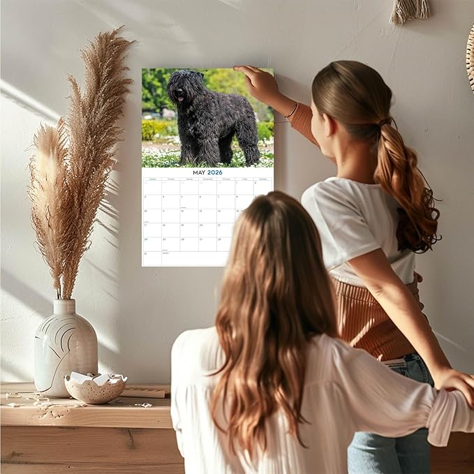 2025 2026 Bouvier Des Flandres Calendar - Dog Breed Monthly Wall Calendar - 12" x 18" Open - Thick No-Bleed Paper - Giftable - Academic Teacher's Planner Calendar Organizing & Planning - Made in USA
