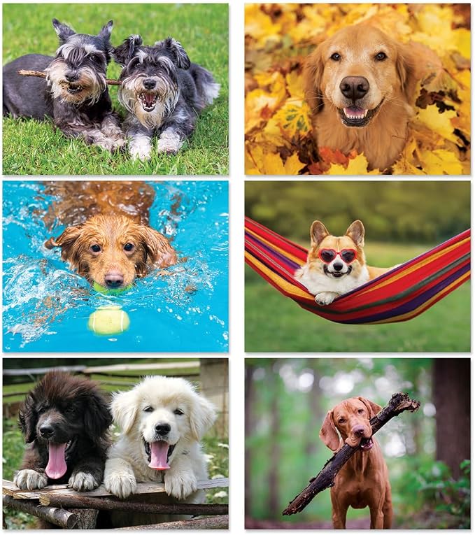 Current 2026 Playful Pups Dog Wall Calendar, 12-Inch x 9-Inch Size Closed, 18-Inch Size Open, Large Bookstore-Quality, Spiral-Bound Hanging Monthly Wall Calendars for Kitchen & Office