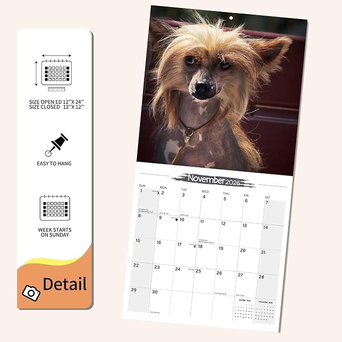 Wall Calendar 2026 Planner Calendar - Chinese Crested Dog Hangable Monthly Wall Calendar with Large Blocks for Organizing & Planning, Academic Schedule, Home, Office & family, Thick & Sturdy Paper (12"x24" Open)