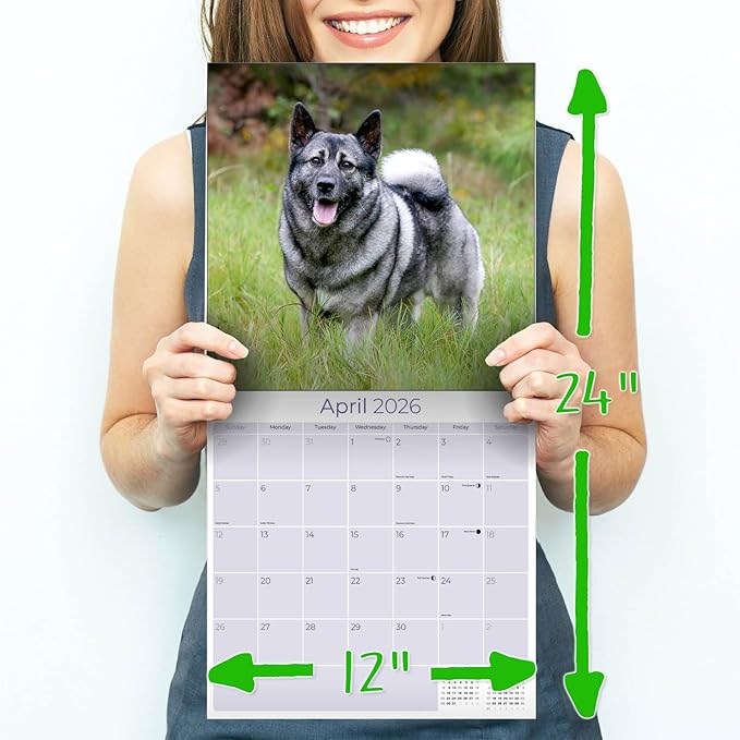 Norwegian Elkhound Calendar 2026 by MegaCalendars – Monthly Dog Breed Wall Calendar, Made in USA