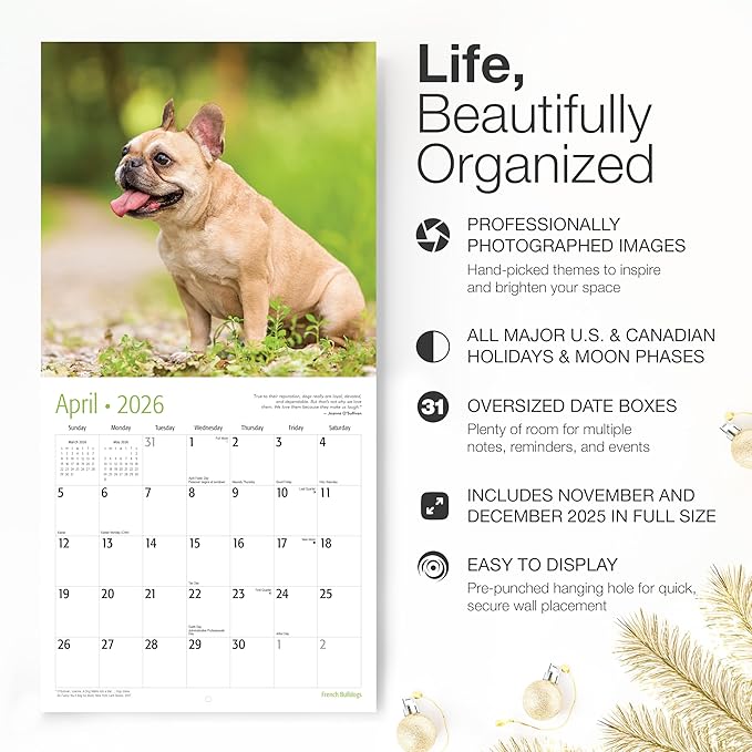 RED EMBER Select - French Bulldogs 2026 Wall Calendar 12 Month | 12" x 24" Open | Thick & Sturdy Paper | Giftable | Cute Frenchie Puppy Dog Calendar 2026