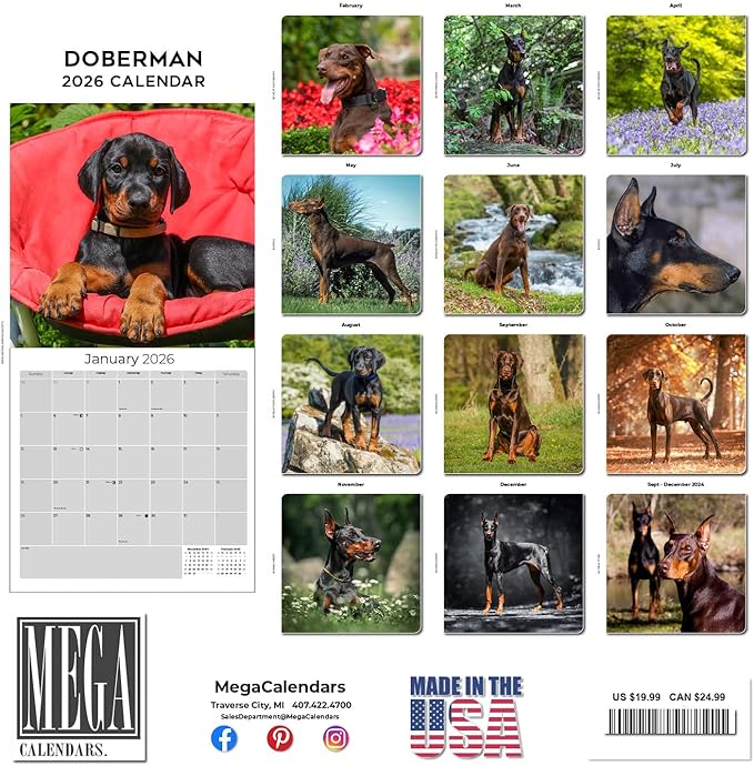 Doberman Calendar 2026 – 16-Month Dog Breed Wall Calendar by MegaCalendars – Large Daily Blocks, Thick No-Bleed Paper, Made in USA