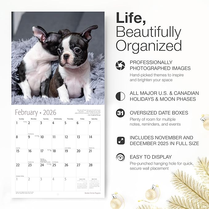RED EMBER Select - Boston Terrier Puppies 2026 Wall Calendar 12 Month | 12" x 24" Open | Thick & Sturdy Paper | Giftable | Cute Puppy Dog Calendar 2026
