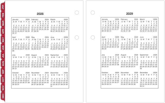 AT-A-GLANCE 2027 Desk Calendar Refill, Daily Desk Pad Refill, 3" x 3.75", Loose-Leaf (E9195027)