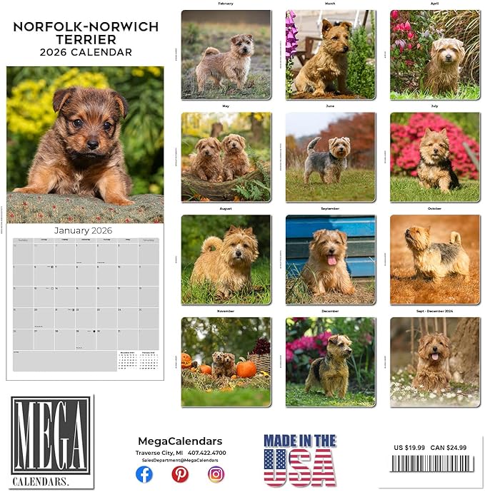 2025 2026 Norfolk/Norwich Calendar - Dog Breed Monthly Wall Calendar - 12" x 24" Open - Thick No-Bleed Paper - Giftable - Academic Teacher's Planner Calendar Organizing & Planning - Made in USA