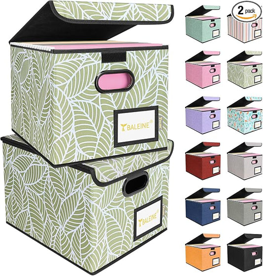 BALEINE File Organizer Box with Lid, Collapsible File Folder Organizer with Plastic Slide, Hanging File Folder Box for Office Document Storage (2 Pack, Antique Foliage)