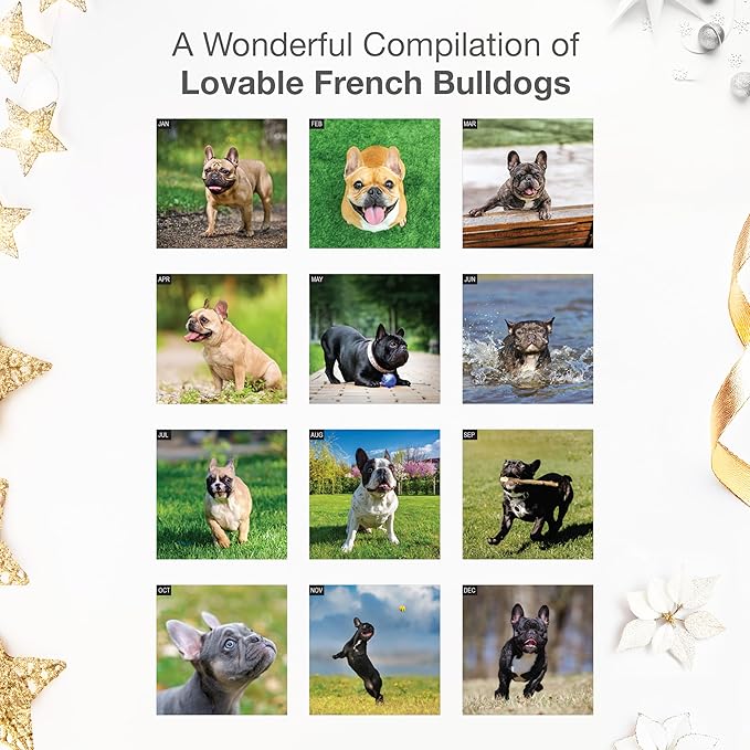 RED EMBER Select - French Bulldogs 2026 Wall Calendar 12 Month | 12" x 24" Open | Thick & Sturdy Paper | Giftable | Cute Frenchie Puppy Dog Calendar 2026