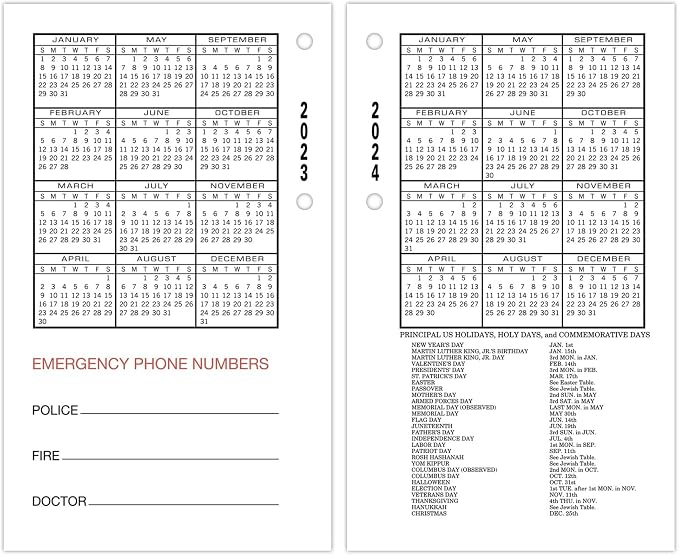 AT-A-GLANCE 2023 Daily Desk Calendar Refill, Standard, 3-1/2" x 6", Loose Leaf, Monthly Tabs (E01750)