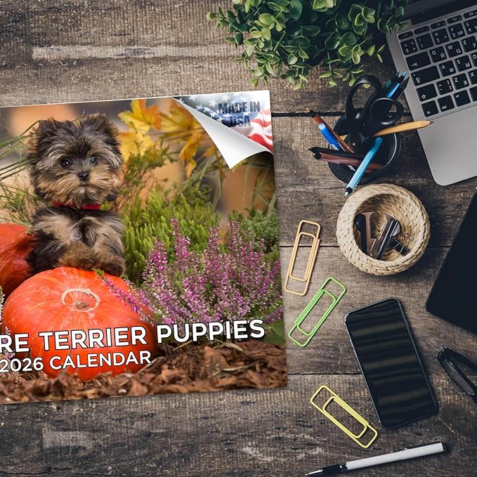 2025 2026 Yorkshire Terrier Puppies Calendar - Dog Breed Monthly Wall Calendar - 12" x 18" Open - Thick No-Bleed Paper - Giftable - Academic Teacher's Planner Calendar Organizing & Planning - Made USA