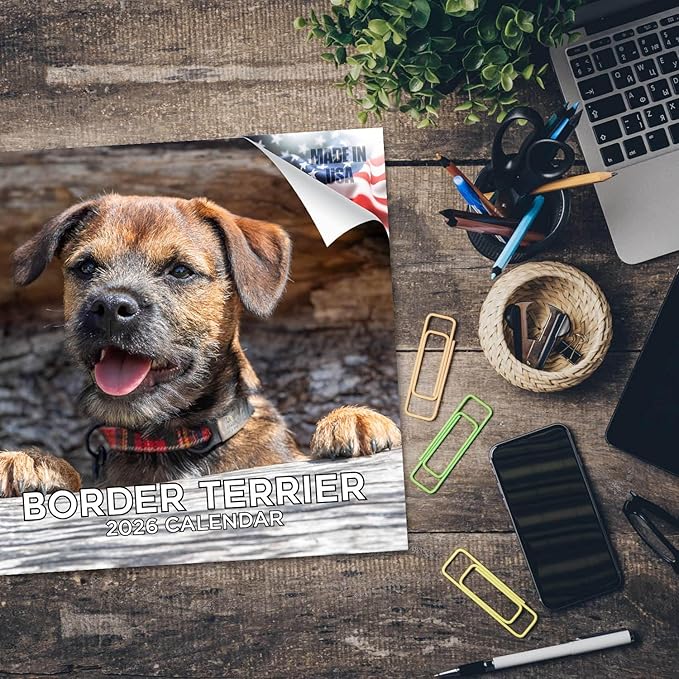 Border Terrier Calendar 2026 by MegaCalendars – Monthly Dog Breed Wall Calendar, Made in USA