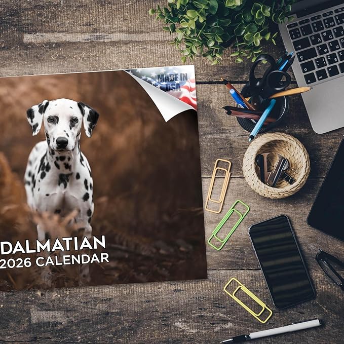 2025 2026 Dalmatian Calendar - Dog Breed Monthly Wall Calendar - 12" x 18" Open - Thick No-Bleed Paper - Giftable - Academic Teacher's Planner Calendar Organizing & Planning - Made in USA