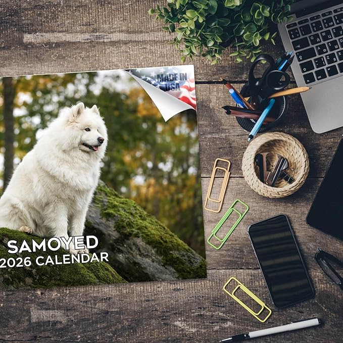 2025 2026 Samoyed Calendar - Dog Breed Monthly Wall Calendar - 12" x 18" Open - Thick No-Bleed Paper - Giftable - Academic Teacher's Planner Calendar Organizing & Planning - Made in USA