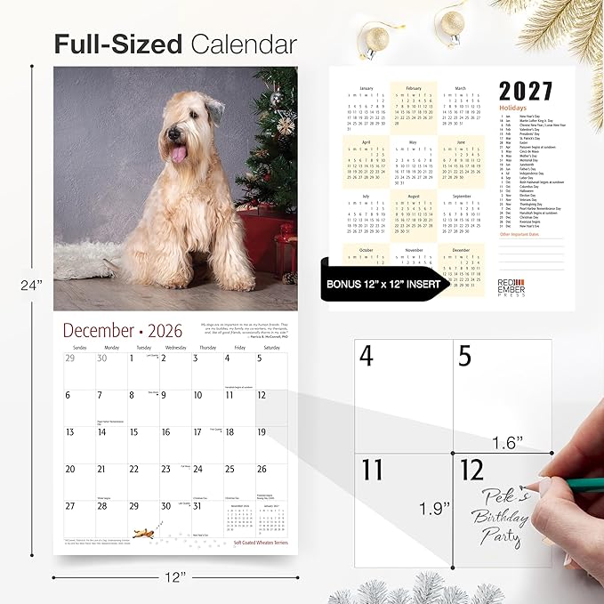 RED EMBER Soft Coated Wheaten Terriers 2026 Wall Calendar 12 Month | 12" x 24" Open | Thick & Sturdy Paper | Giftable | Cute Puppy Dog Calendar 2026
