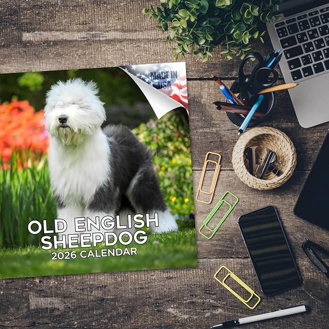 Old English Sheepdog Calendar 2026 by MegaCalendars – Monthly Dog Breed Wall Calendar, Made in USA