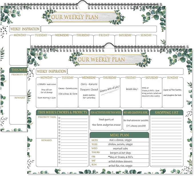 Fulmoon 2 Pcs 52 Sheets Weekly Planner 13 x 17'' Family Planner Spiral Weekly Calendar Habit Tracker Calendar Family Meal for Wall Planning Organizing Goals Tasks Chores(Eucalyptus)