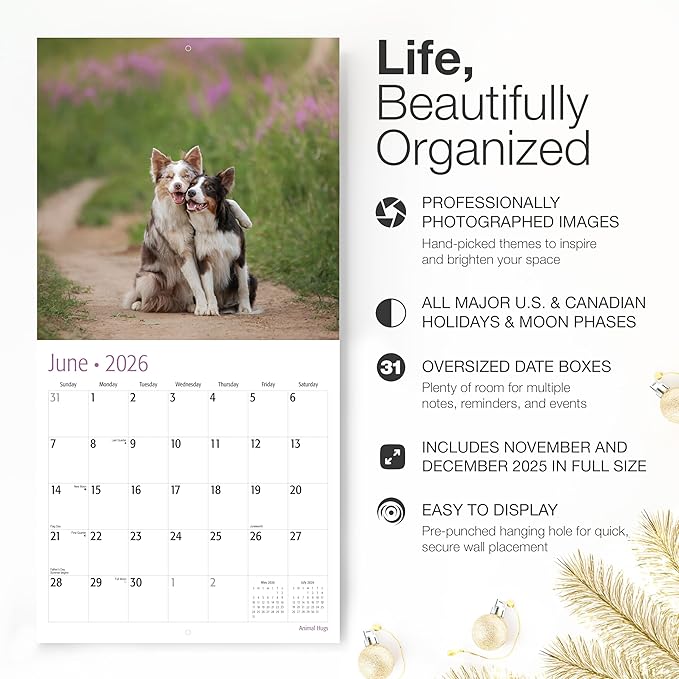 RED EMBER Animal Hugs 2026 Wall Calendar 12 Month | 12” x 24” Open | Thick & Sturdy Paper | Giftable | Cute Funny Kids Calendar 2026