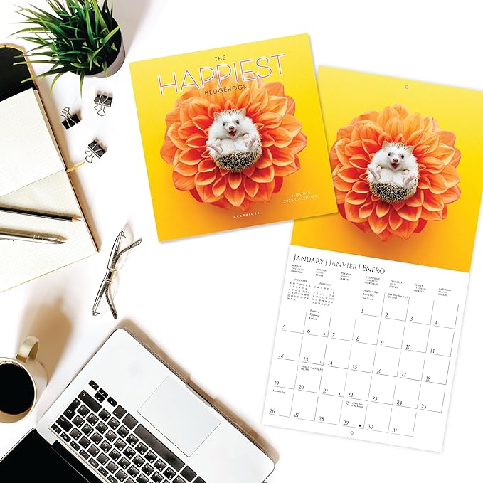 Graphique 2025 Happiest Hedgehogs Mini Wall Calendar | 7” x 7” | Thick Paper | Home & Office Organizer | Large Monthly Grid | 3 Languages & Marked Holidays | 4 Month Preview Page for 2026