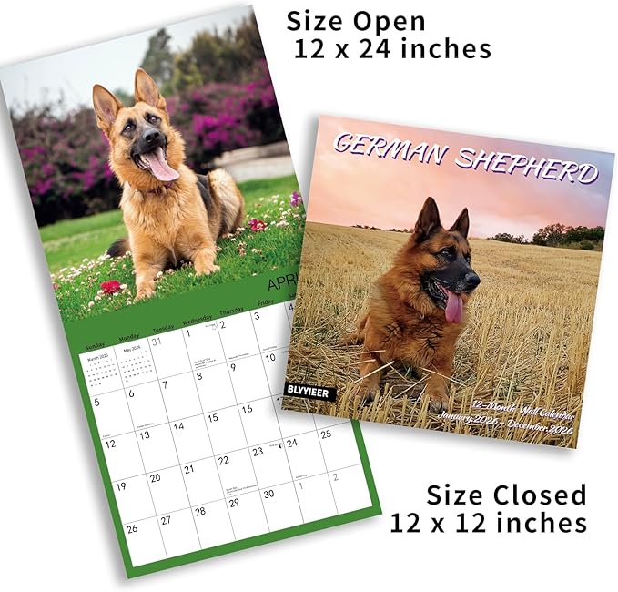 2026 Wall Calendar,GERMAN SHEPHERD Wall Calendar, 12" x 24" Open,Family Planner Calendar Organizer with GERMAN SHEPHERD Images, for Dogs Lovers
