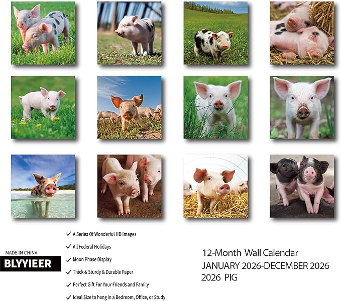 2026 Wall Calendar, Pig Calendar 2026,PIG Monthly Wall Calendar, 12" x 24" Open,Family Planner Calendar, Home & Office Organizer,Hangable