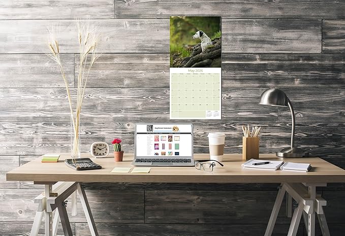 Dalmatian Pups Calendar 2026 by MegaCalendars – Monthly Dog Breed Wall Calendar, Made in USA
