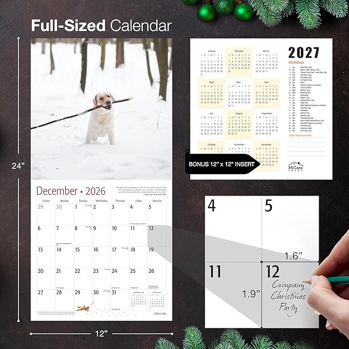 MICASA PRESS Yellow Labs 2026 Wall Calendar 12 Month | 12" x 24" Open | Thick & Sturdy Paper | Giftable | Cute Labrador Retriever Puppy Dog Calendar 2026