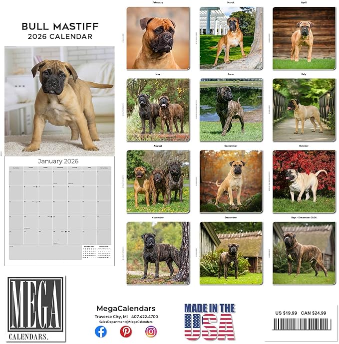 Bull Mastiff Calendar 2026 by MegaCalendars – Monthly Dog Breed Wall Calendar, Made in USA