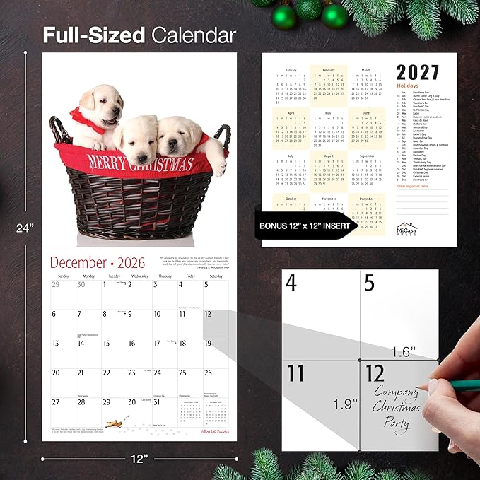 MICASA PRESS Yellow Lab Puppies 2026 Wall Calendar 12 Month | 12" x 24" Open | Thick & Sturdy Paper | Giftable | Cute Labrador Retriever Puppy Dog Calendar 2026