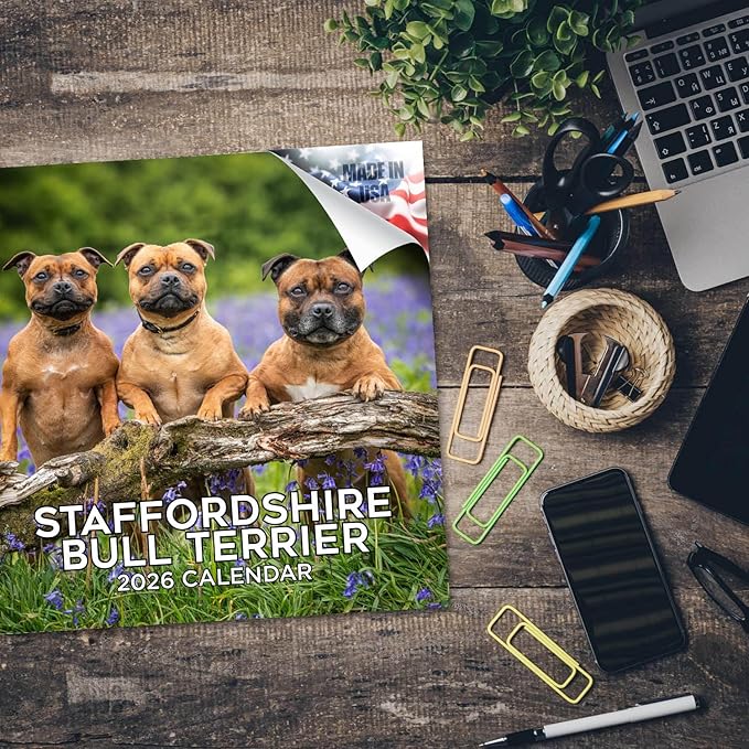 Staffordshire Bull Terrier Calendar 2026 by MegaCalendars – Monthly Dog Breed Wall Calendar, Made in USA