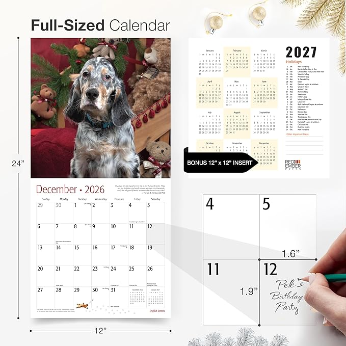 RED EMBER English Setters 2026 Wall Calendar 12 Month | 12" x 24" Open | Thick & Sturdy Paper |Giftable | Cute Puppy Dog Calendar 2026
