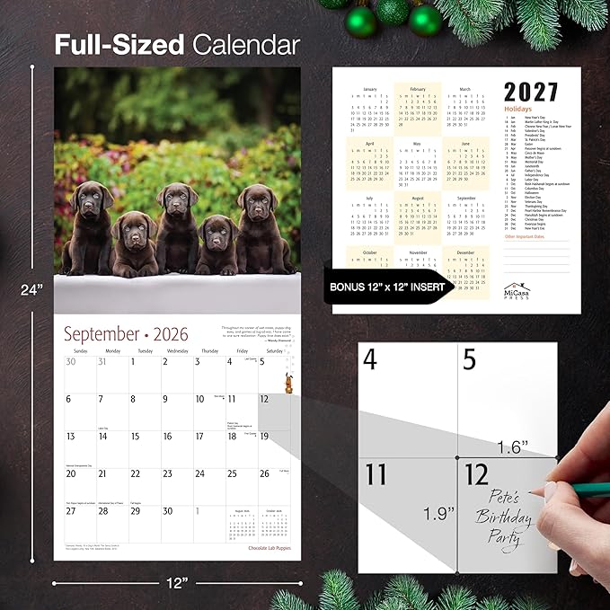 MICASA PRESS Chocolate Lab Puppies 2026 Wall Calendar 12 Month | 12" x 24" Open | Thick & Sturdy Paper | Giftable | Cute Labrador Retriever Puppy Dog Calendar 2026