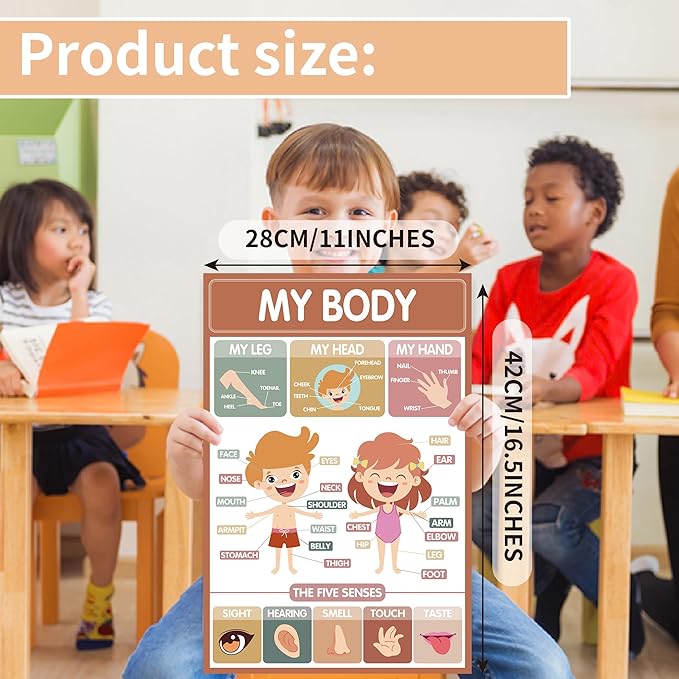 MYLONGINGCHARM 18 Pcs Boho Groovy Educational Posters for Toddlers 1-3,Laminated Pre-K and Kindergarten Learning Poster Charts - Homeschool and Classroom Decor for Kids' Walls