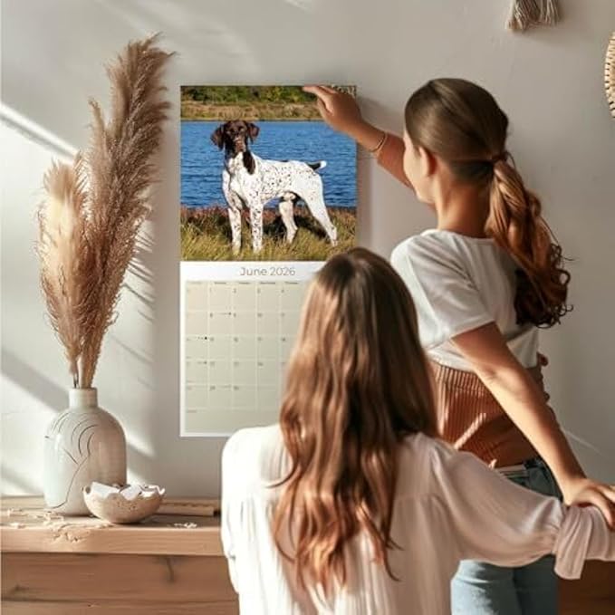 German Shorthair Pointer Calendar 2026 by MegaCalendars – Monthly Dog Breed Wall Calendar, Made in USA