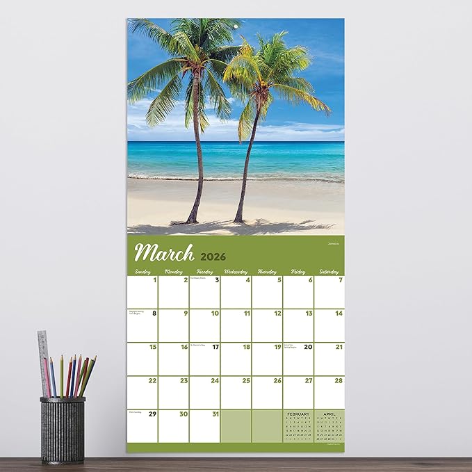 TF Publishing 2026 Tropical Beaches Wall Calendar - Large Grids for Appointments and Scheduling - Vertical Monthly Wall Calendar 2026 w/Premium Gloss Paper for Home and Office Organization - 12x12in