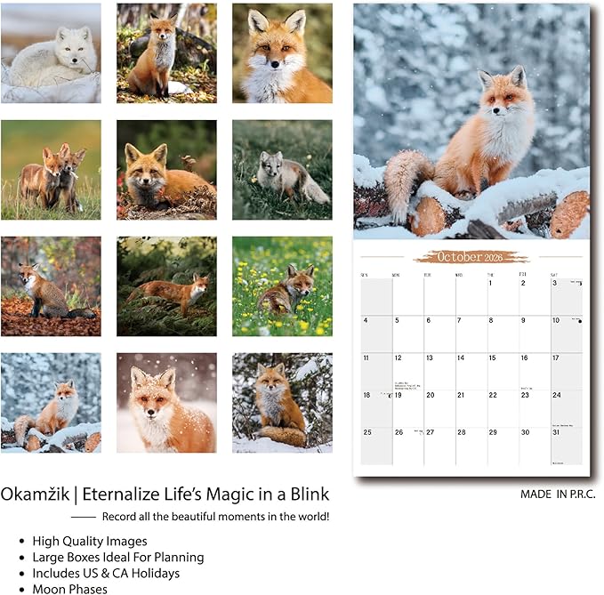 2026 Wall Calendar Fox Planner Calendar, Hangable Monthly Wall Calendar with Large Blocks for Organizing & Planning, Academic Schedule, Home, Office & Family, Thick & Sturdy Paper (12"x24" Open)