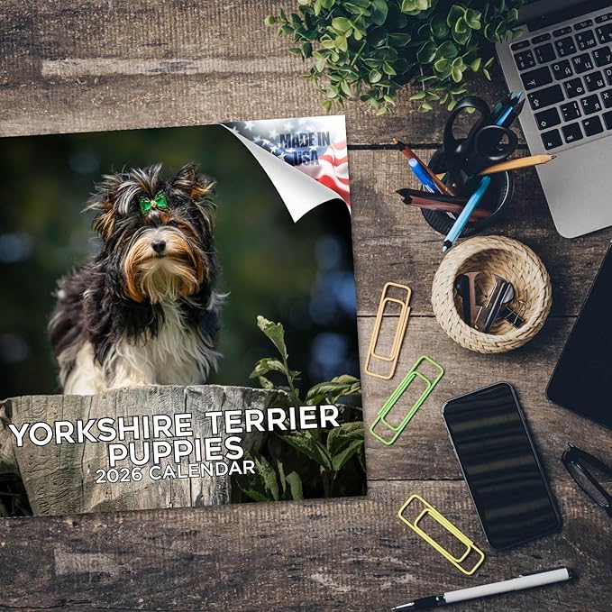 Yorkshire Terrier Puppies Calendar 2026 by MegaCalendars – Monthly Dog Breed Wall Calendar, Made in USA