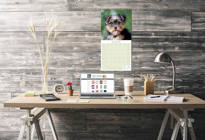 Yorkshire Terrier Puppies Calendar 2026 by MegaCalendars – Monthly Dog Breed Wall Calendar, Made in USA