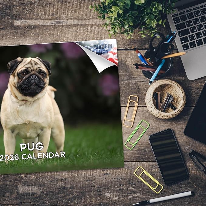 2025 2026 Pug Calendar - Dog Breed Monthly Wall Calendar - 12" x 18" Open - Thick No-Bleed Paper - Giftable - Academic Teacher's Planner Calendar Organizing & Planning - Made in USA