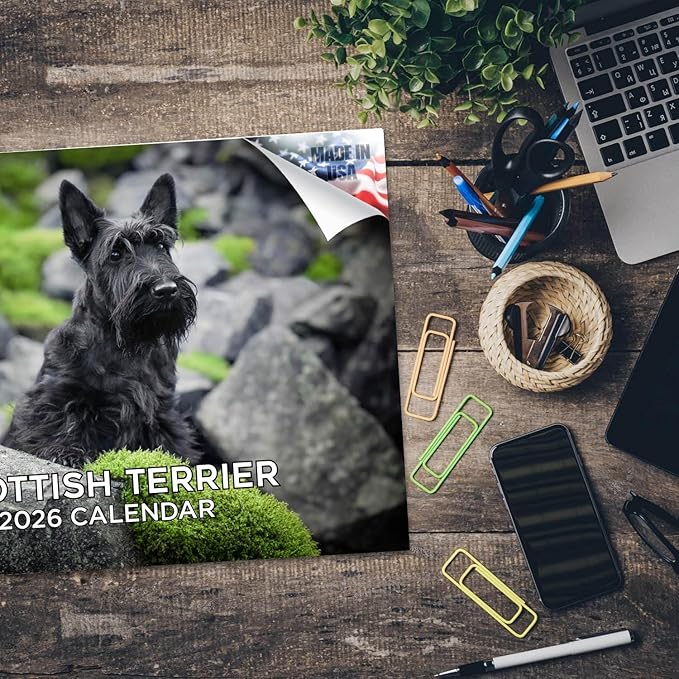 2025 2026 Scottish Terrier Calendar - Dog Breed Monthly Wall Calendar - 12" x 18" Open - Thick No-Bleed Paper - Giftable - Academic Teacher's Planner Calendar Organizing & Planning - Made in USA
