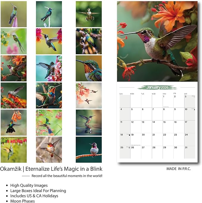 2025-2026 Wall Calendar Hummingbird Planner Calendar, Hangable Monthly Wall Calendar with Large Blocks for Organizing & Planning, Academic Schedule, Home, Office & family, Thick & Sturdy Paper (12"x24" Open)