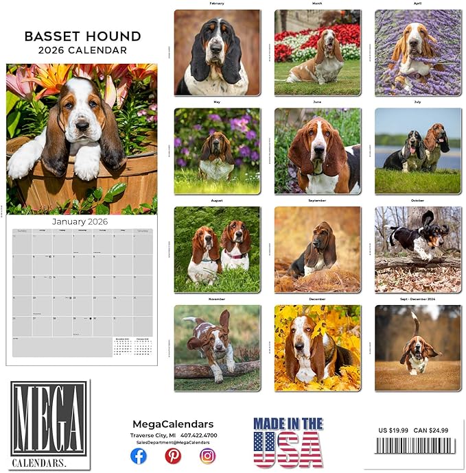 Basset Hound Calendar 2026 – 16-Month Dog Breed Wall Calendar by MegaCalendars – Large Daily Blocks, Thick No-Bleed Paper, Made in USA