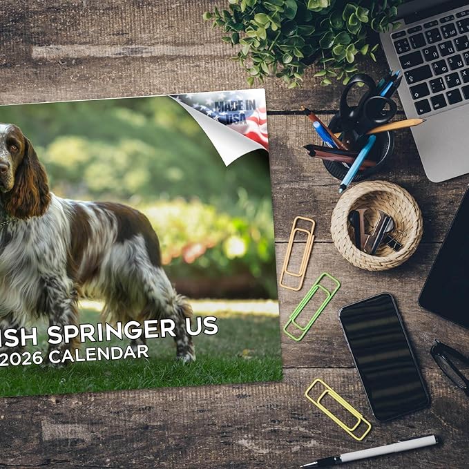 2025 2026 English Springer US Calendar - Dog Breed Monthly Wall Calendar - 12" x 18" Open - Thick No-Bleed Paper - Giftable - Academic Teacher's Planner Calendar Organizing & Planning - Made in USA