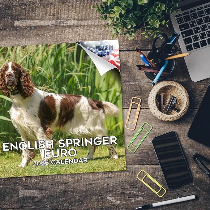 English Springer EU Calendar 2026 by MegaCalendars – Monthly Dog Breed Wall Calendar, Made in USA