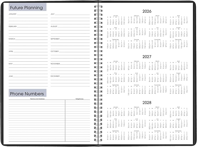 AT-A-GLANCE 2027 Planner, Monthly, 14-Month Dec-Jan, 8" x 12", DayMinder, Black (G4700027)