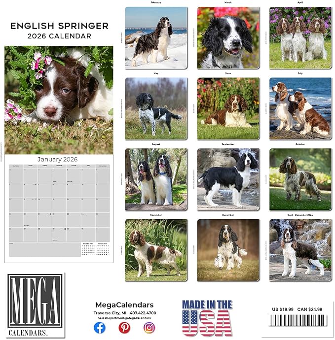 English Springer US Calendar 2026 by MegaCalendars – Monthly Dog Breed Wall Calendar, Made in USA