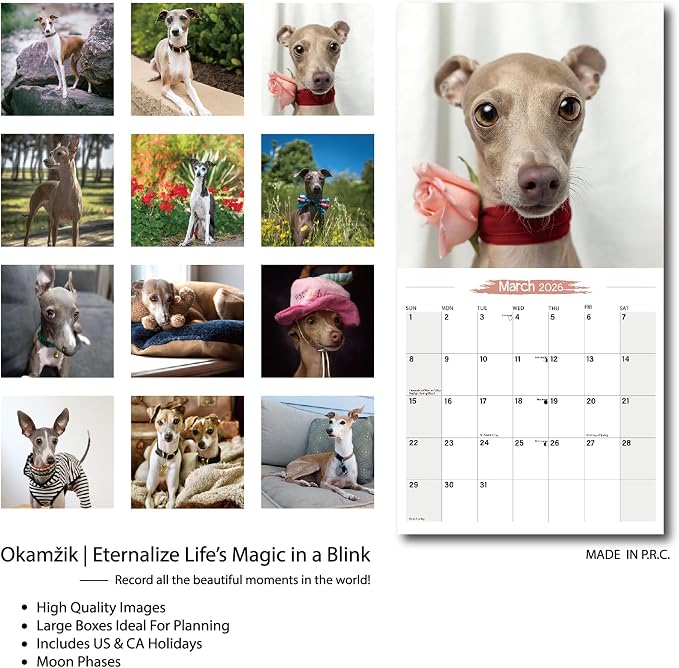 2026 Wall Calendar Italian Greyhound Planner Calendar, Hangable Monthly Wall Calendar with Large Blocks for Organizing & Planning, Academic Schedule, Home, Office & family, Thick & Sturdy Paper (12"x24" Open)