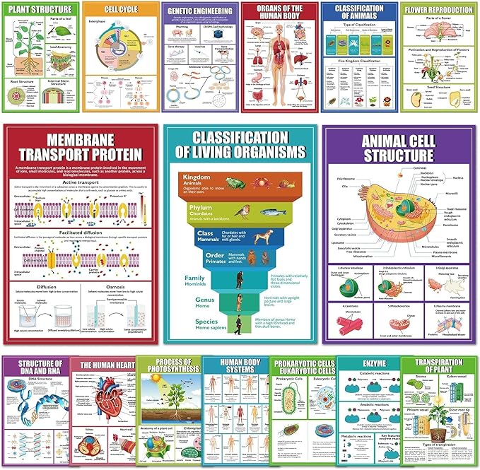 EggSun 16 Pcs Biology Science Posters for High School Classroom Decorations, 11 x 16in Life Science Poster Charts for Teachers Middle School Supplies Education Classroom Bulletin Board Wall Decor