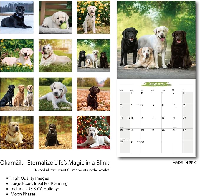 2026 Wall Calendar Labrador Retriever Planner Calendar, Hangable Monthly Wall Calendar with Large Blocks for Organizing & Planning, Academic Schedule, Home, Office & family, Thick & Sturdy Paper (12"x24" Open)