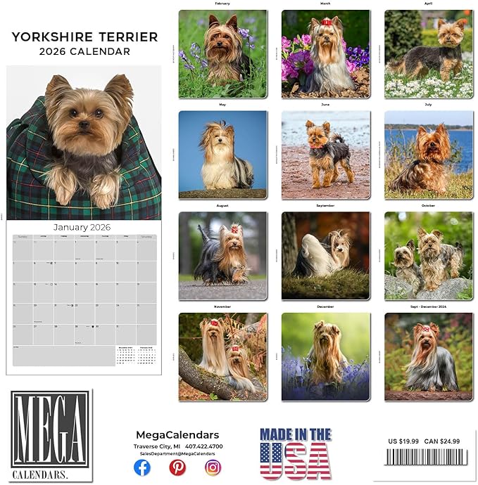 Yorkshire Terrier Calendar 2026 by MegaCalendars – Monthly Dog Breed Wall Calendar, Made in USA